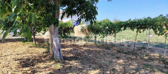 Terreno en Rocca San Giovanni, Italy 5000 m² No. 349914 11