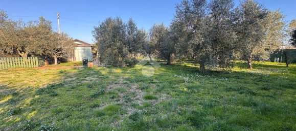 6 bedrooms Villa in Latina, Italy No. 124681 40