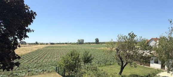 Таунхаус с 4 комнатами в Герасдорф бай Вин, Австрия № 161243 16