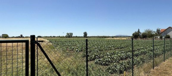 Таунхаус с 4 комнатами в Герасдорф бай Вин, Австрия № 161243 24