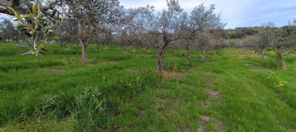 Terrain à Sciacca, Italy 20000m² No. 119713 2