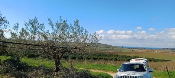 Terrain à Sciacca, Italy 20000m² No. 119713 9