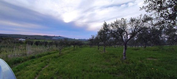 Terrain à Sciacca, Italy 20000m² No. 119713 6