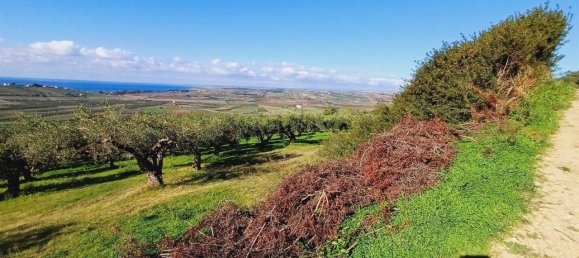 Terrain à Sciacca, Italy 20000m² No. 119713 3