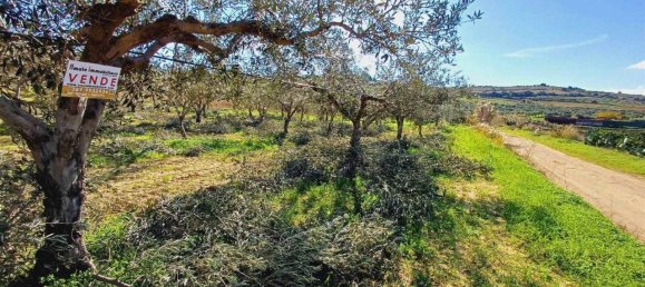 Terrain à Sciacca, Italy 20000m² No. 119713 8