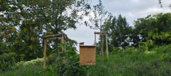 Квартира с 3 комнатами в Мария Энцерсдорф, Австрия № 219409 34