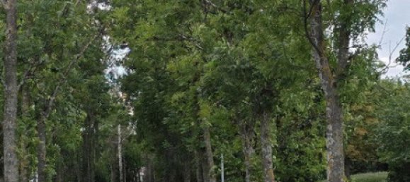 Квартира с 3 комнатами в Мария Энцерсдорф, Австрия № 219409 29