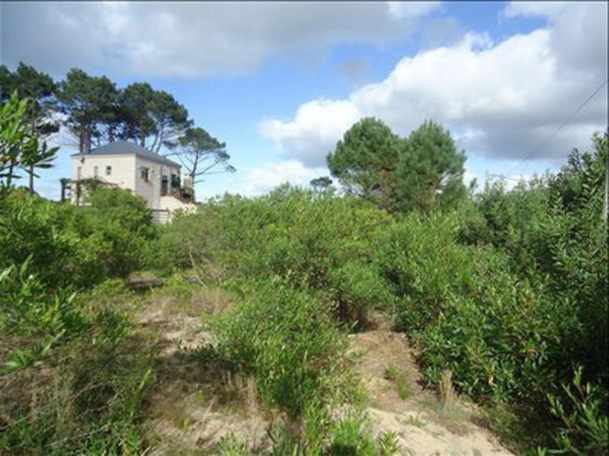 Grundstück in Maldonado, Uruguay, Nr. 14593