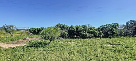 4 bedrooms Villa in Guia, Portugal No. 143780 24