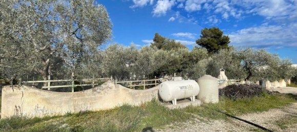 1 Schlafzimmer Wohnung in Manfredonia, Italy, Nr. 25536 36