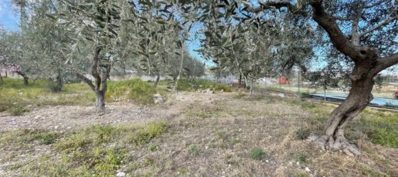 1 Schlafzimmer Wohnung in Manfredonia, Italy, Nr. 25536 31