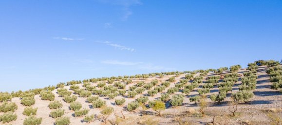 Terreno em Granada, Spain N.º 155806 21
