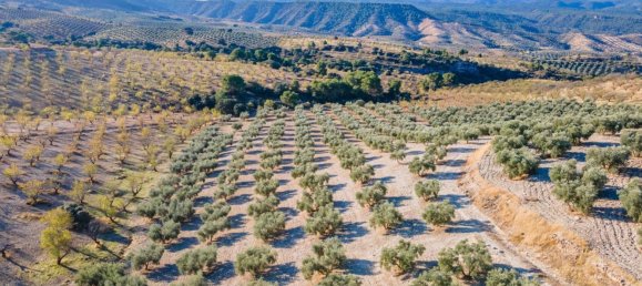 Terreno em Granada, Spain N.º 155806 17