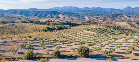 Terreno em Granada, Spain N.º 155806 25