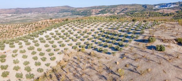 Terreno em Granada, Spain N.º 155806 11