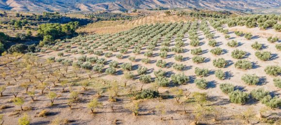 Terreno em Granada, Spain N.º 155806 23