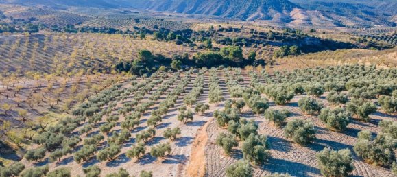 Terreno em Granada, Spain N.º 155806 16