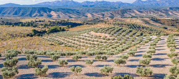Terreno em Granada, Spain N.º 155806 24