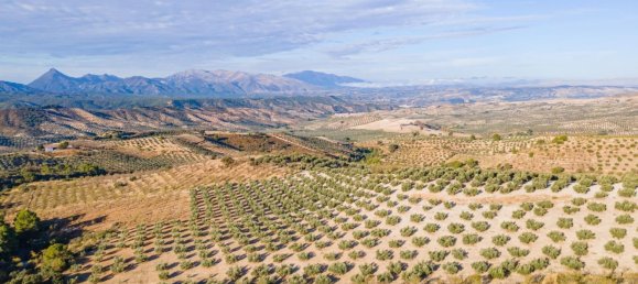 Terreno em Granada, Spain N.º 155806 8