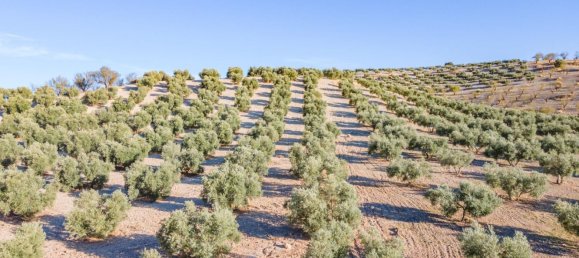 Terreno em Granada, Spain N.º 155806 13