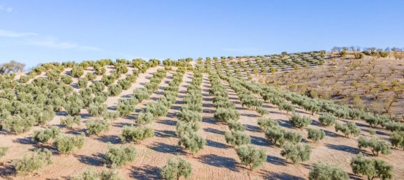 Terreno em Granada, Spain N.º 155806 19