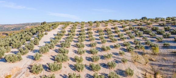 Terreno em Granada, Spain N.º 155806 18