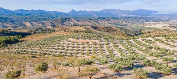 Terreno em Granada, Spain N.º 155806 28
