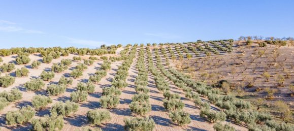 Terreno em Granada, Spain N.º 155806 12