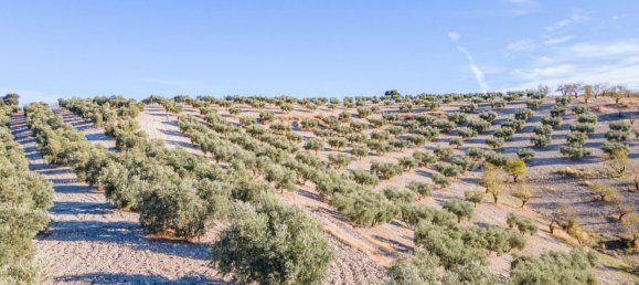 Terreno em Granada, Spain N.º 155806 22