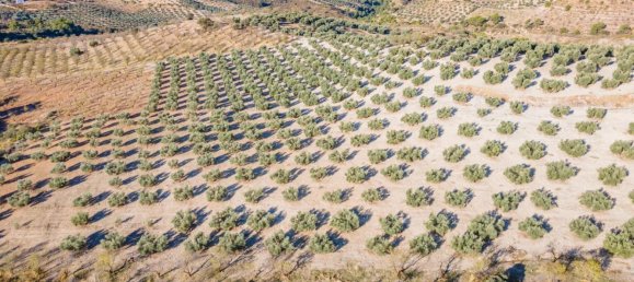 Terreno em Granada, Spain N.º 155806 10