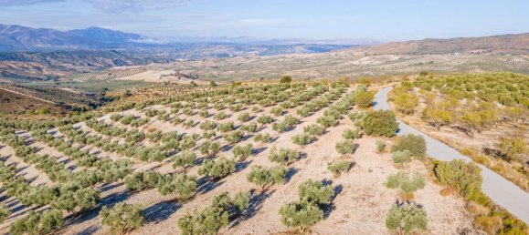 Terreno em Granada, Spain N.º 155806 27