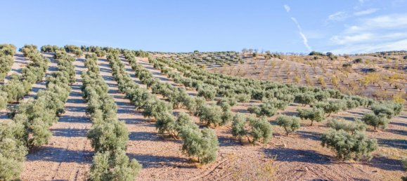 Terreno em Granada, Spain N.º 155806 14