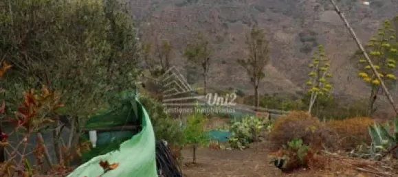 Casa de 3 dormitorios en Telde, Spain No. 170999 6