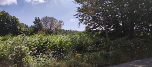 Terreno em San Roberto, Italy 10000 m² N.º 254279 3