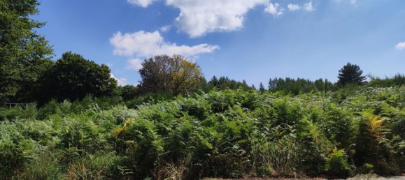 Terreno em San Roberto, Italy 10000 m² N.º 254279 2