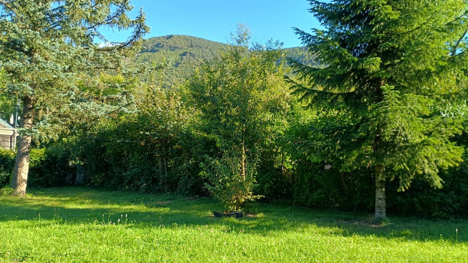 Земельный участок 586м² в Альтенмаркт ан дер Тристинг, Австрия № 259974