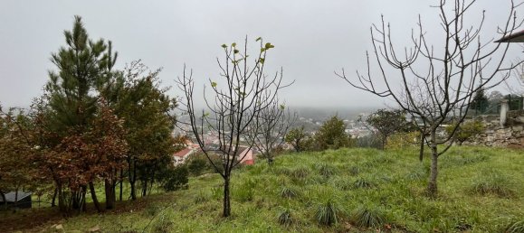  قطعة أرض في Viseu, Portugal 1930متر مربع رقم 83183 3