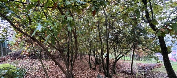  قطعة أرض في Viseu, Portugal 1930متر مربع رقم 83183 5