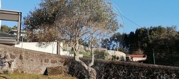 4 Schlafzimmer Haus in Viana do Castelo, Portugal, Nr. 175976 20