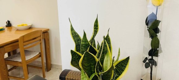 2 bedrooms Apartment in Fano, Italy No. 333765 6