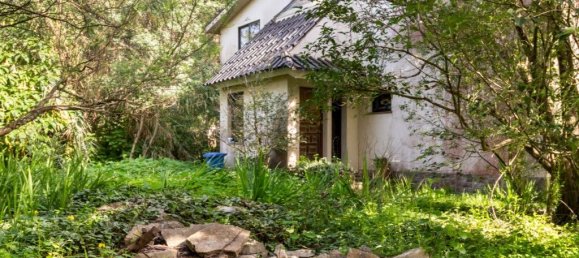 6 bedrooms House in Cascais, Portugal No. 119932 4