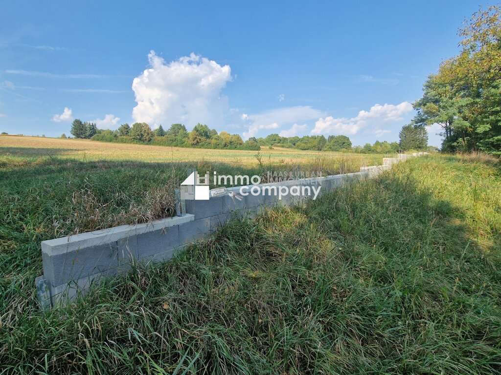 Terreno en Mannersdorf an der Rabnitz, Austria No. 10131
