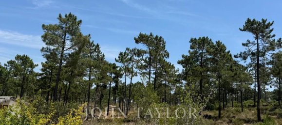 3909m² Land in Grandola, Portugal No. 132444 13