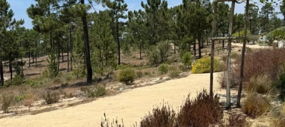 3909m² Land in Grandola, Portugal No. 132444 22