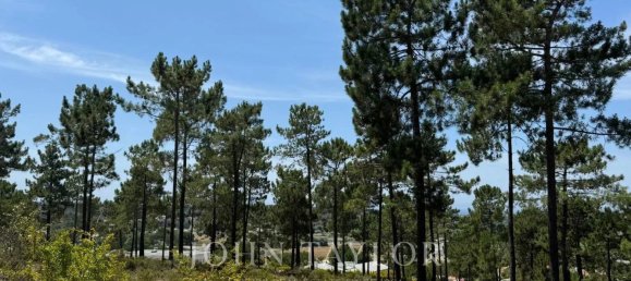 3909m² Land in Grandola, Portugal No. 132444 21