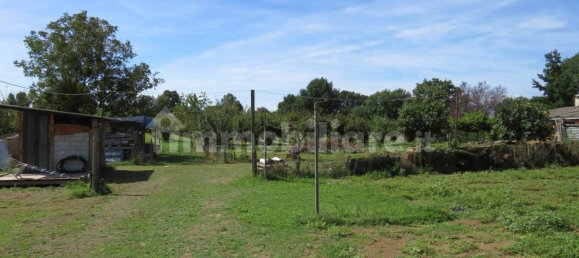 1 bedroom House in Nepi, Italy No. 331136 23