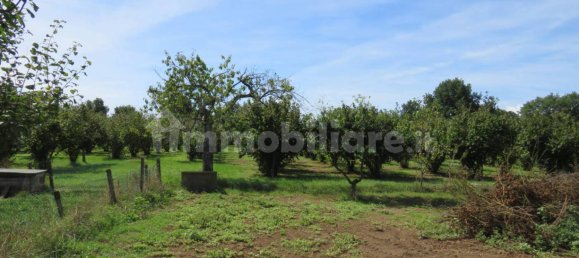 1 bedroom House in Nepi, Italy No. 331136 25