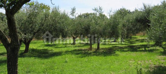 1 bedroom House in Nepi, Italy No. 331136 28