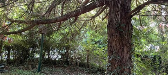  قطعة أرض في Saint-Ouen-les-Vignes, France 615متر مربع رقم 249912 4