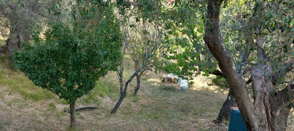 17 rooms Villa in Castelnuovo Magra, Italy No. 137175 43